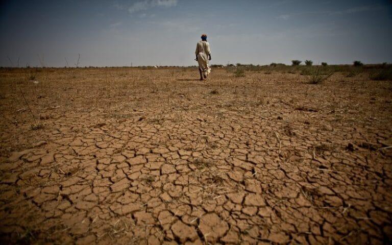 Kenya’s Drought Crisis: Northern Herders Cross Into Tanzania for Water and Pasture | ICPAC