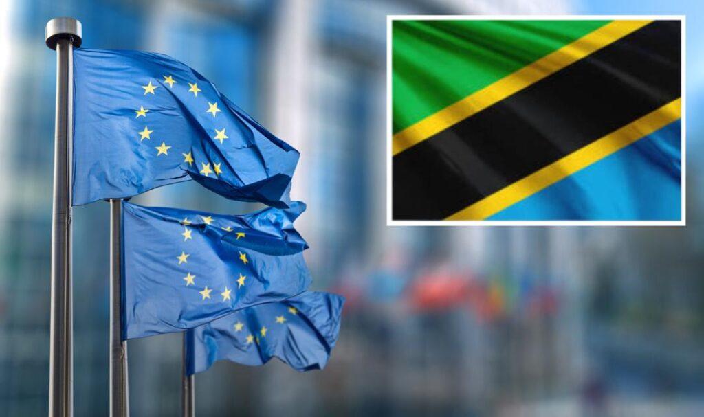 EU Parliament Rights Committee Accuses Tanzania of Blocking Human Rights Visit