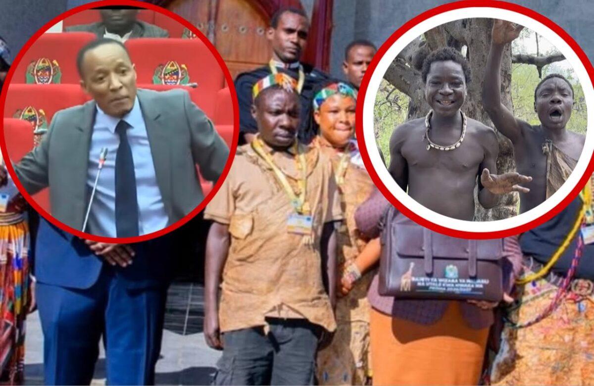 Tanzanian MP Warns Modern Lifestyle Could Destroy Hadzabe Culture After Chaaba Appearance in Parliament Tanzanian MP Warns Modern Lifestyle Could Destroy Hadzabe Culture After Chaaba Appearance in Parliament | Swahili Today