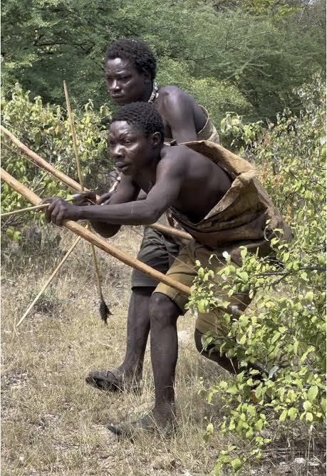 Tanzanian MP Warns Modern Lifestyle Could Destroy Hadzabe Culture After Chaaba Appearance in Parliament Tanzanian MP Warns Modern Lifestyle Could Destroy Hadzabe Culture After Chaaba Appearance in Parliament | Swahili Today