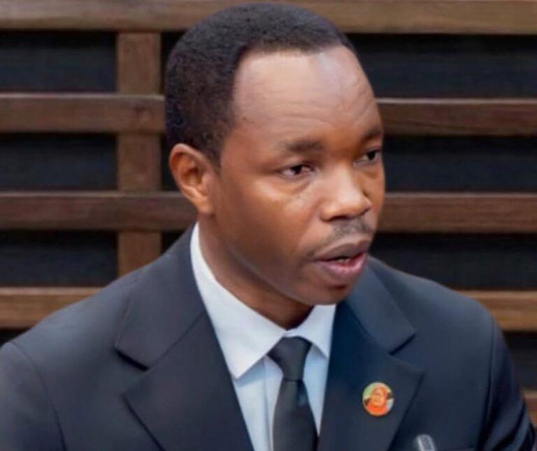 Tanzania Says 203 Citizens Deported From Foreign Countries Over Immigration Violations Tanzania Says 203 Citizens Deported From Foreign Countries Over Immigration Violations | Swahili Today