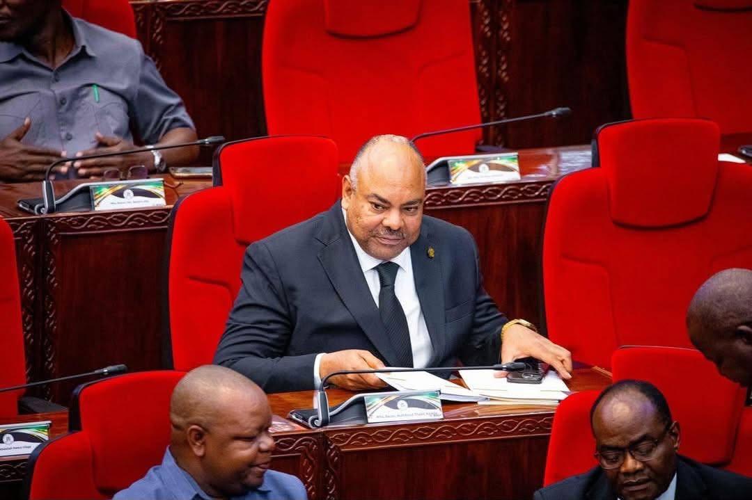 Tanzania Government Accuses Social Media of Spreading Budget Speech Disinformation | Swahili Today