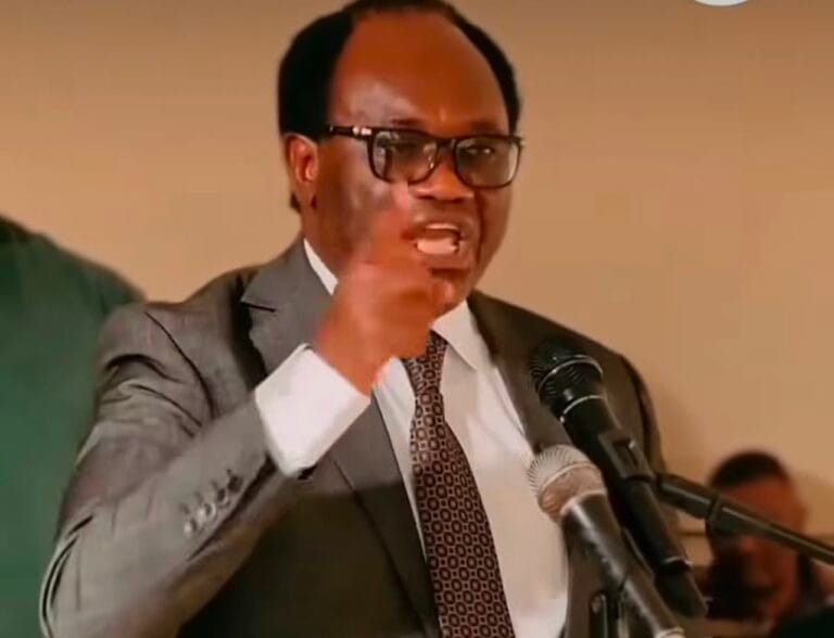 Zambia's Presidential Candidate, Mandubile, tells Tanzanians allegedly hired to leave the country | Swahili Today