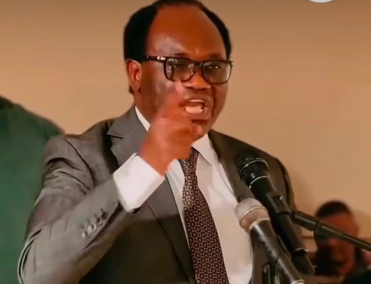 Zambia's Presidential Candidate, Mandubile, tells Tanzanians allegedly hired to leave the country Zambia's Presidential Candidate, Mandubile, tells Tanzanians allegedly hired to leave the country | Swahili Today