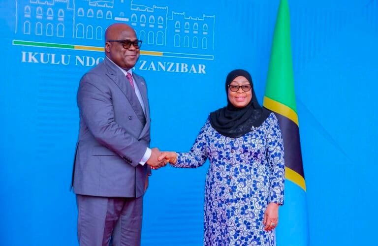 Tanzania, DR Congo Set Out New Plans to Expand Trade, Mining and Transport Ties | Swahili Today
