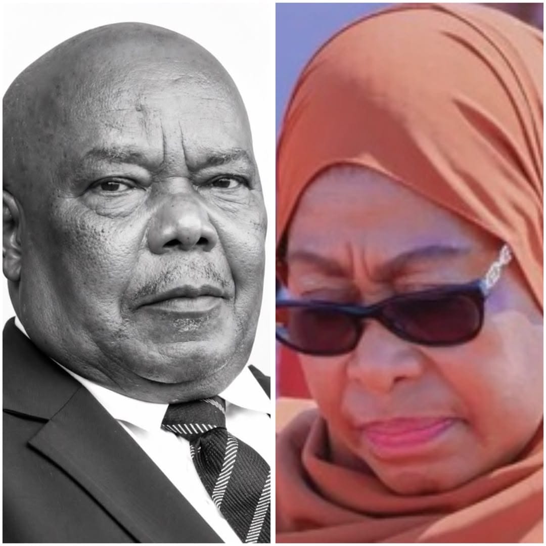 Tanzania President Samia Suluhu Hassan’s Husband, Hafidh Ameir, dies Tanzania President Samia Suluhu Hassan’s Husband, Hafidh Ameir, dies | Swahili Today