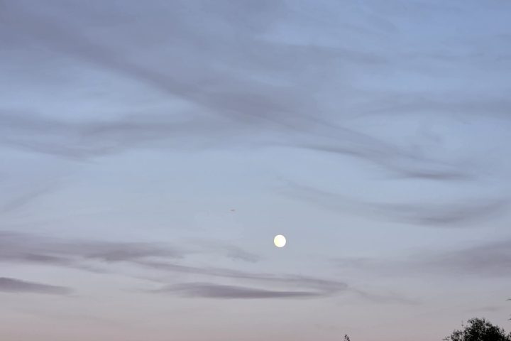 Moon at Dusk