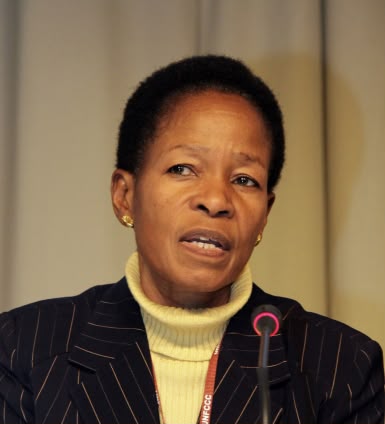 Former Tanzania Minister for Lands, Housing and Human Settlements Development Professor Anna Tibaijuka